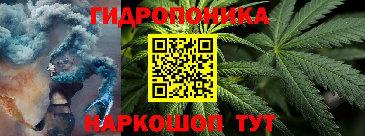 Бошки марихуана сатива Минеральные Воды